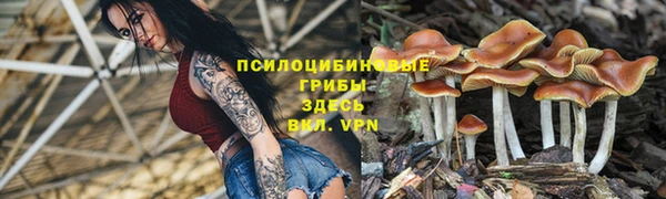МДПВ Магас