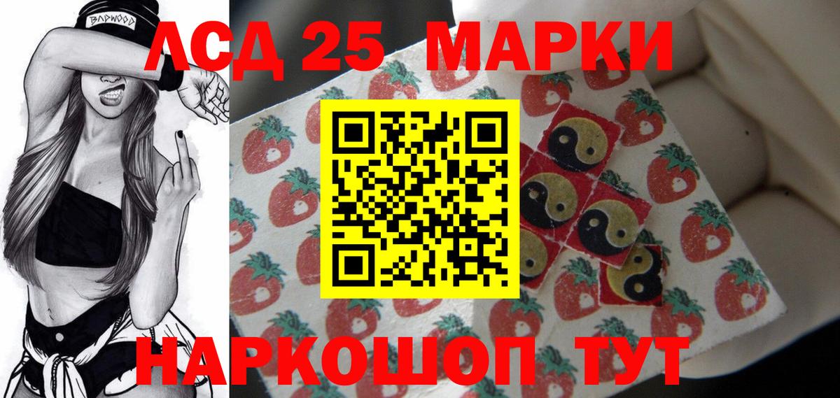 ЛСД экстази кислота  ЛСД экстази кислота  ЛСД экстази  Каменка  Вход с VPN 