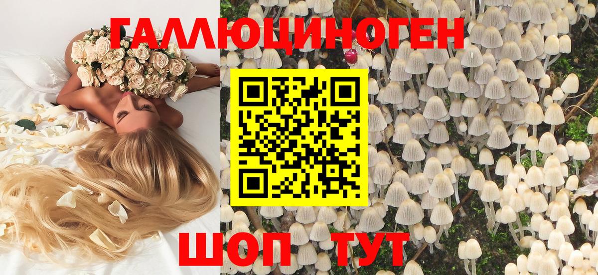 Галлюциногенные грибы MAGIC MUSHROOMS  Вход с VPN  Каменка 