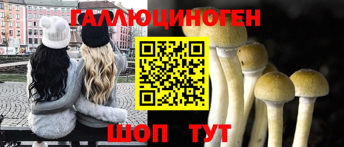 Галлюциногенные грибы Magic Shrooms  Каменка  Псилоцибиновые грибы Magic Shrooms 