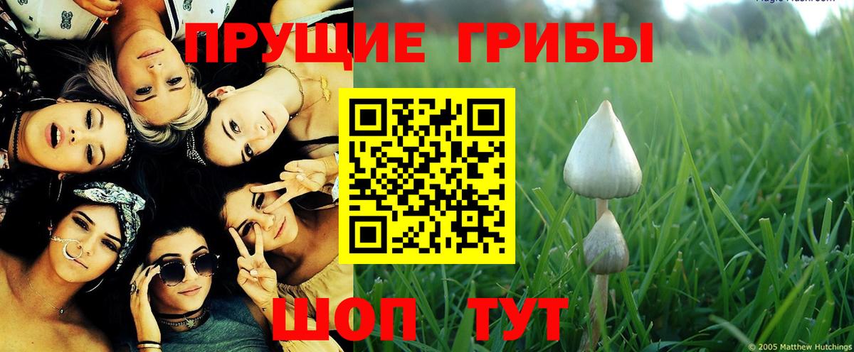 Как найти закладки?  Каменка  Гарик  A PVP  МДМА  ЛЁД  Конопля  COCAIN  Вход с VPN  Мяу-Мяу 