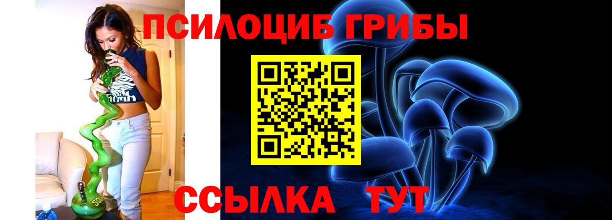 Галлюциногенные грибы прущие грибы Каменка